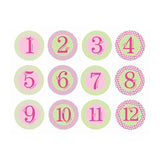 Pearhead Pink Baby Milestone Stickers